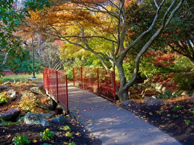 Beacon Hill Parkı Düşüyor