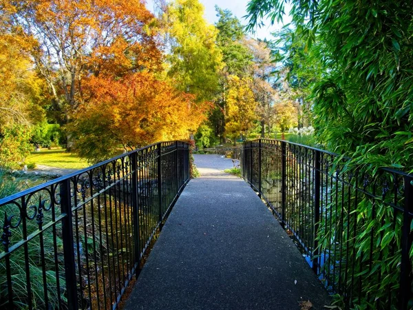 Beacon Hill Park fall — Stock Photo, Image