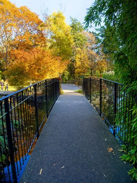 Beacon Hill Park fall — Stock Photo, Image