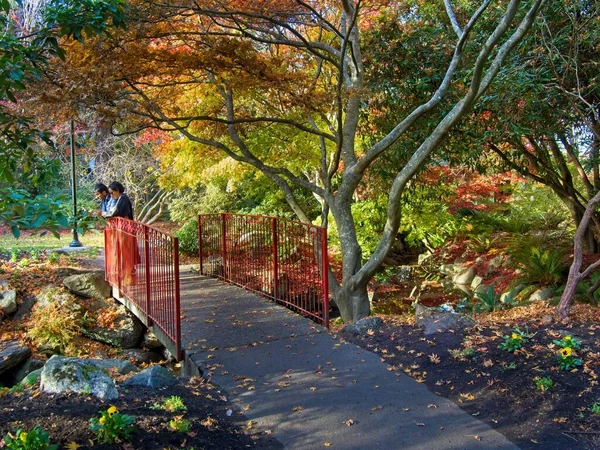 Beacon Hill Park automne — Photo
