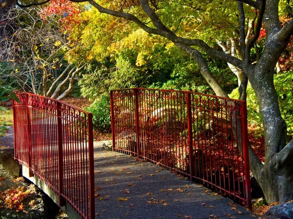 Beacon Hill Park fall — Stock Photo, Image