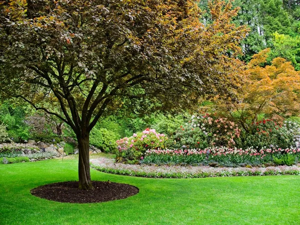 Jardín de primavera — Foto de Stock