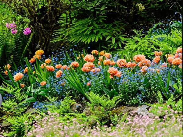 Jardín de primavera — Foto de Stock