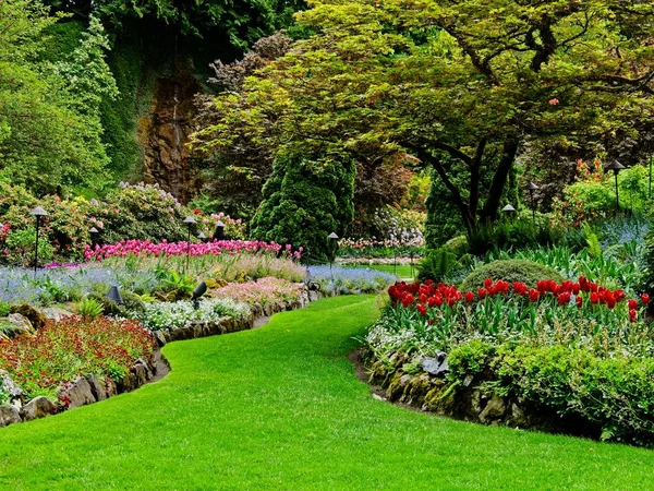 Wiosenny ogród — Zdjęcie stockowe