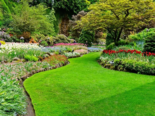 Springtime garden — Stock Photo, Image