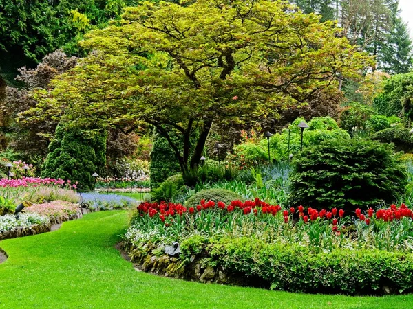 Jardín de primavera — Foto de Stock