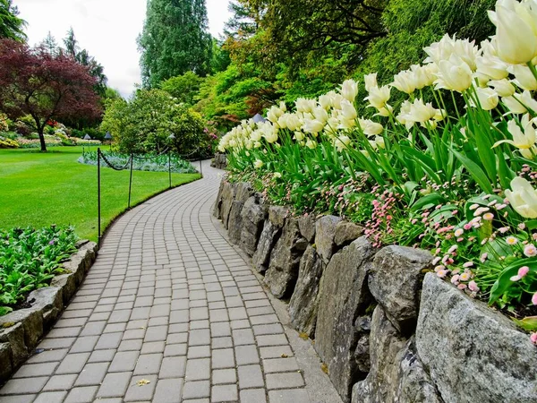 Jardín de primavera — Foto de Stock