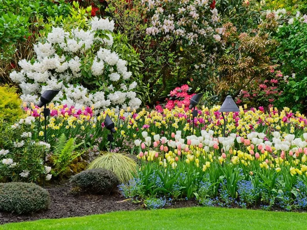 Jardín de primavera — Foto de Stock