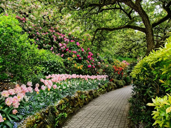 Springtime garden — Stock Photo, Image