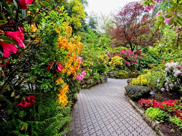 Jardín de primavera — Foto de Stock