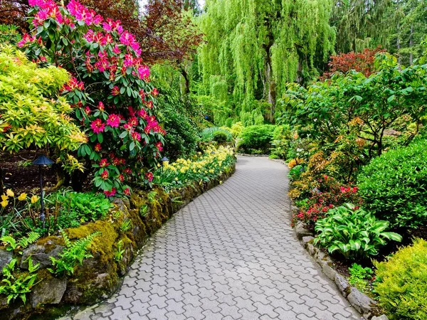 Jardín de primavera — Foto de Stock