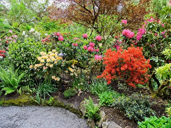 Springtime garden — Stock Photo, Image