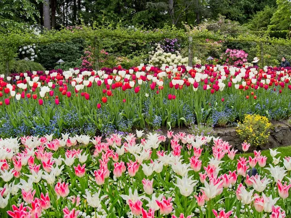 Jardín de primavera — Foto de Stock