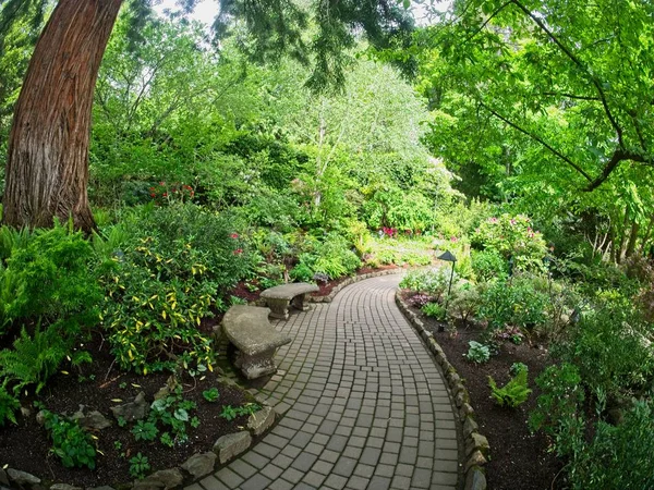 Jardín de primavera — Foto de Stock