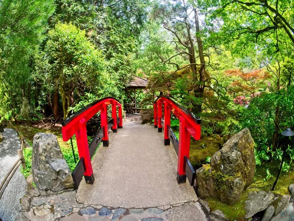 Jardim de primavera — Fotografia de Stock