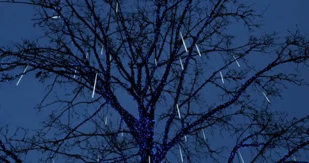 Outdoor Tree Decorated Illuminated Imitation Icicles Glittering Light Moves Decorations — Stock Video
