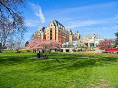 Victoria şehir merkezinde bahar çiçek açan çiçekler