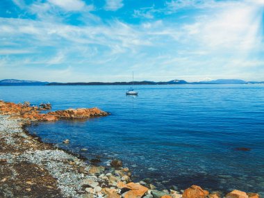 Martılar ve kayalık sahildeki tekne.