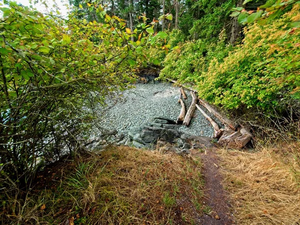 Public Ruckle Provincial Park kustlijn op het Salt Spring Island — Stockfoto