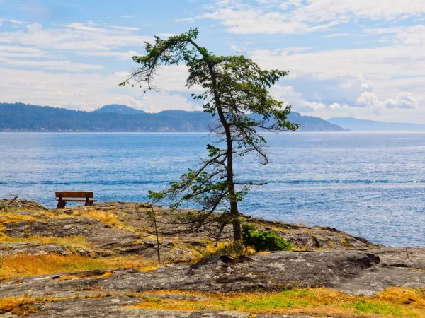 Δημόσια Ruckle Provincial Park ακτογραμμή στο Salt Spring Island — Φωτογραφία Αρχείου