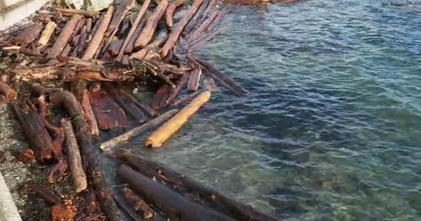 Ocean Water Lapping Big Logs Washed Shoreline Sidney — 图库视频影像