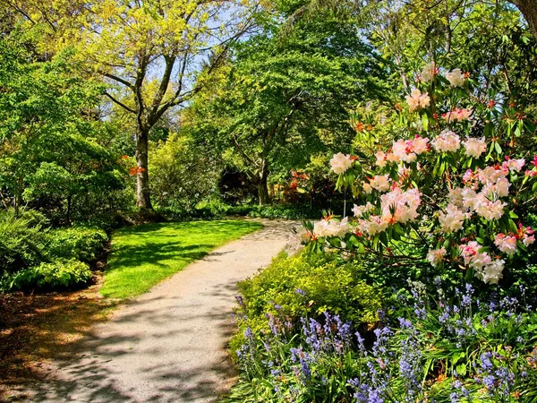 Finnerty Gardens — Stock Photo, Image