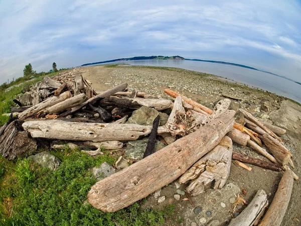 Θεαματική Driftwood Στο Island View Beach Στο Central Saanich Vancouver — Φωτογραφία Αρχείου