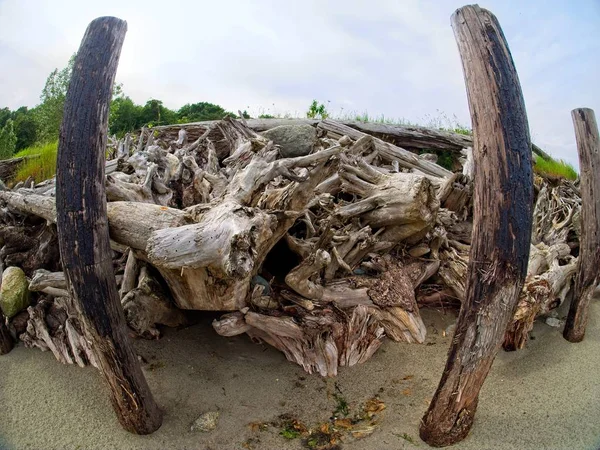 Espectacular Madera Deriva Playa Island View Centro Saanich Vancouver Island —  Fotos de Stock