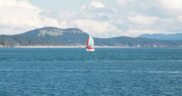 Barevný Plachetnice Křižující Podél Pobřeží Sidney Greater Victoria Vancouver Island — Stock video