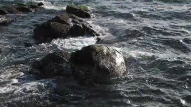 Okyanus dalgaları Victoria Bc 'de kıyıya vurur, kayalara çarpar ve kıyı şeridini dolaşır. Yavaş çekim