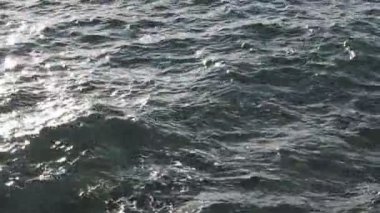 Okyanus dalgaları Victoria Bc 'de kıyıya vurur, kayalara çarpar ve kıyı şeridini dolaşır. Yavaş çekim