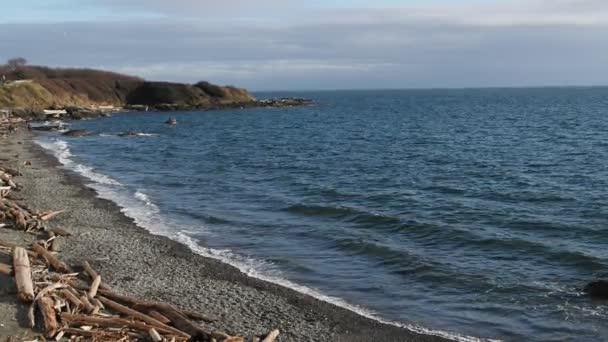 Des Vagues Océaniques Arrivent Sur Rivage Victoria Colombie Britannique Frappant — Video