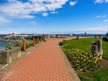Sidney BC, Vancouver Adası 'nın kıyı şeridinde ilkbaharda tek başına muhteşem bir yürüyüş.