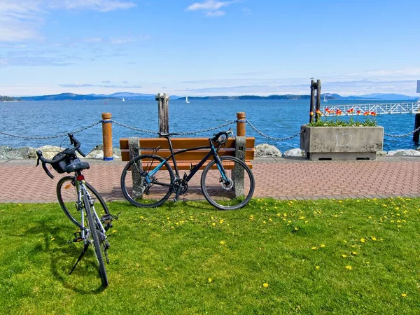 Spektakulär Havspromenad Ensam Stranden Sidney Vancouver Island Våren — Stockfoto