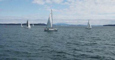 Yelkenliler rüzgarda uçuyor. Sidney BC kıyılarında.