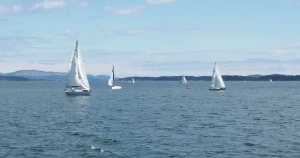 Kapal Layar Berlayar Dalam Angin Dekat Garis Pantai Sidney — Stok Video