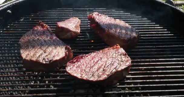 Bifes Carne Estão Sendo Grelhados Grelha Carvão Com Chama Fumaça — Vídeo de Stock