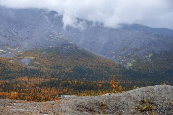 Otoño en el Hibiny — Foto de Stock