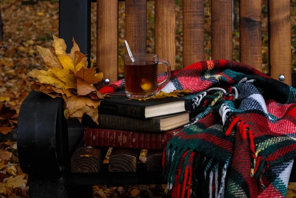 çay, kitaplar, sonbahar, manzara, durgun hayat, bank, park, yapraklar