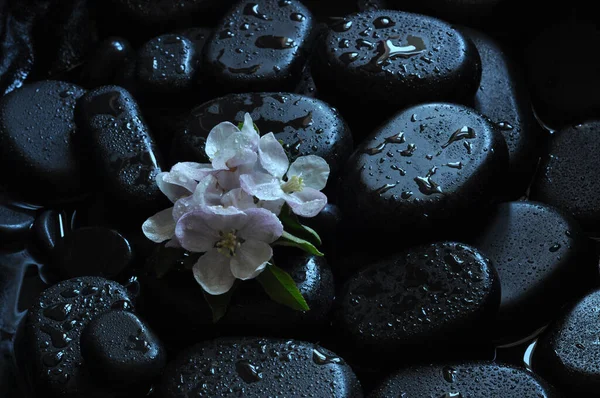 kolaj, spa, taşlar, masaj, nilüfer, manolya, aroma, thai, Tayland masajı, mumlar, su 28