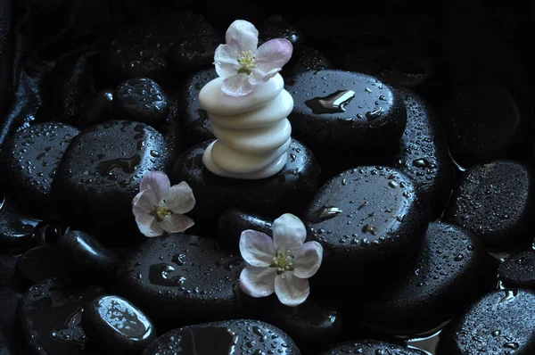 kolaj, spa, taşlar, masaj, nilüfer, manolya, aroma, thai, Tayland masajı, mumlar, su 4