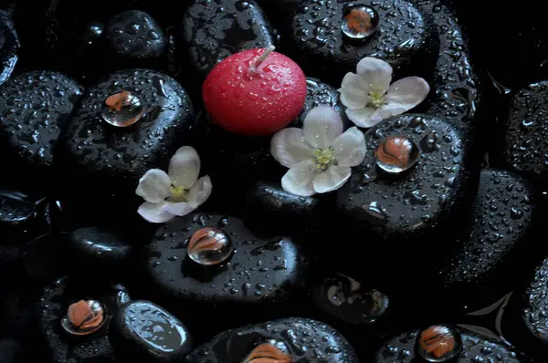 kolaj, spa, taşlar, masaj, nilüfer, manolya, aroma, thai, Tayland masajı, mumlar, su 1