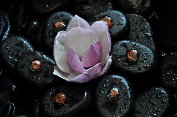 kolaj, spa, taşlar, masaj, nilüfer, manolya, aroma, thai, Tayland masajı, mumlar, su 20