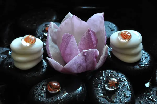 kolaj, spa, taşlar, masaj, lotus, manolya, aroma, thai, Tayland masajı, mumlar, su 19