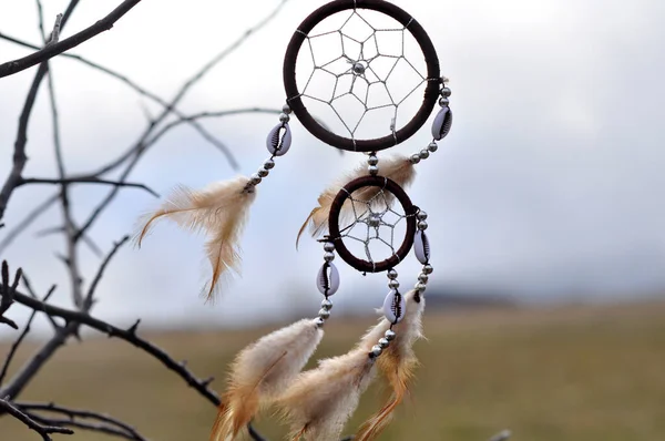 Dreamcatcher Indianos Sonhos Cultura Antiguidade Sonho Vento Aranha Natureza Spirit — Fotografia de Stock