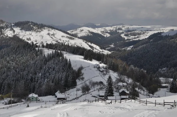kış, dağlar, orman, ağaçlar, kar, yamaçlar, ladin, tepeler, doğa _ 1