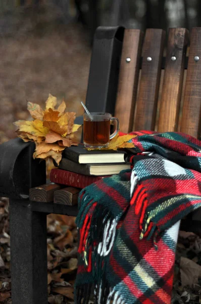 Sonbahar, kitaplar, çay, bir fincan çay, yapraklar, yapraklar dökülüyor, kitap sever, ikinci el kitap satıcısı _ 2