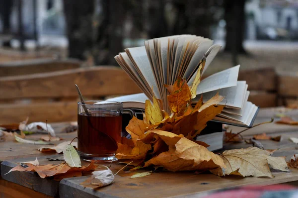 Sonbahar, kitaplar, çay, bir fincan çay, yapraklar, yapraklar dökülüyor, kitap sever, ikinci el kitap satıcısı _ 1