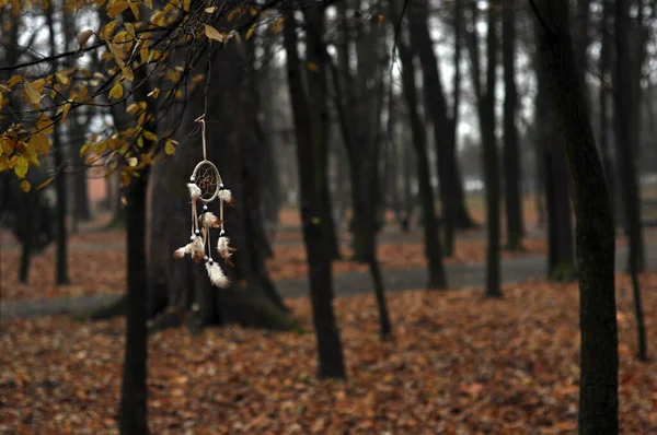 düş kapanı, Hindistanlılar, rüyalar, kültür, antika, rüya, rüzgar, örümcek, doğa, ruh _ 2