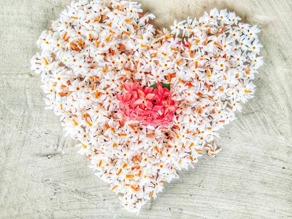 This is beautiful flowers and beautiful background. 